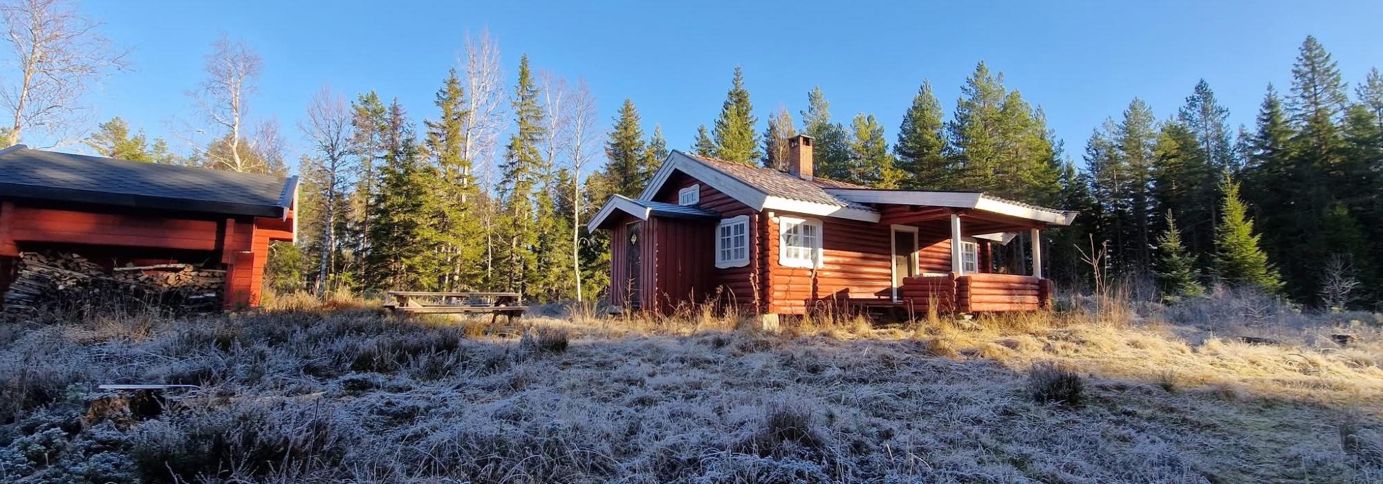 Aktiv i 100 DNT Odal: Langs Tronbølsetervegen