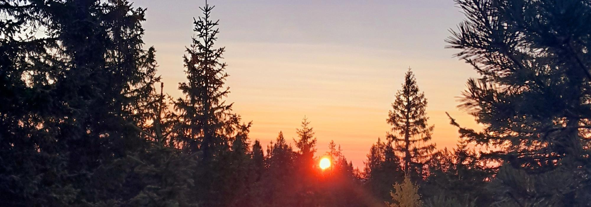 Førjulstur fra hytte til hytte i Nordmarka