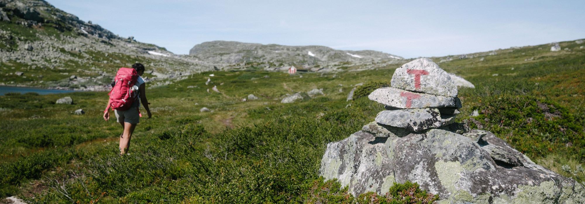 Singeltur midt på vidda 40-55 år (vs26)