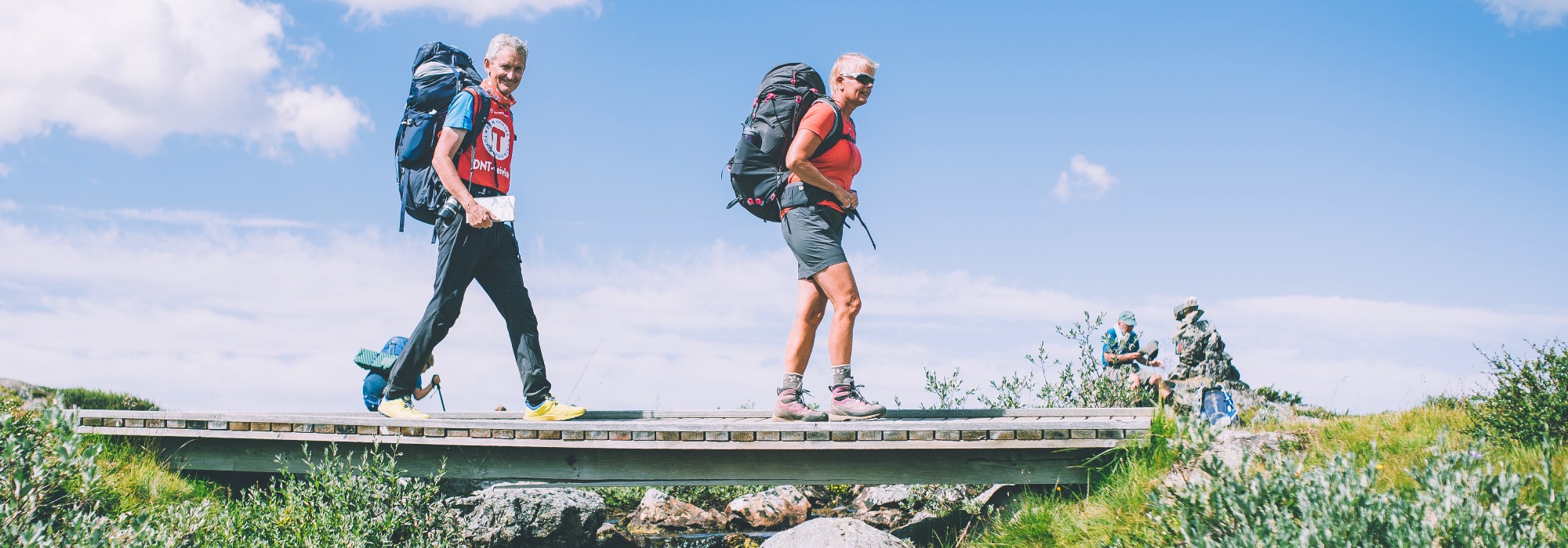 Rundtur på Hardangervidda 60+ (vs26)
