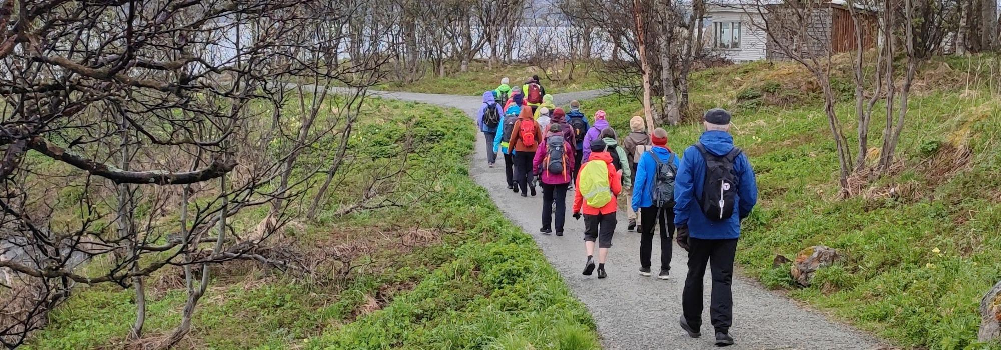 DNT senior Troms - Solliegården til Pyramiden 11.november