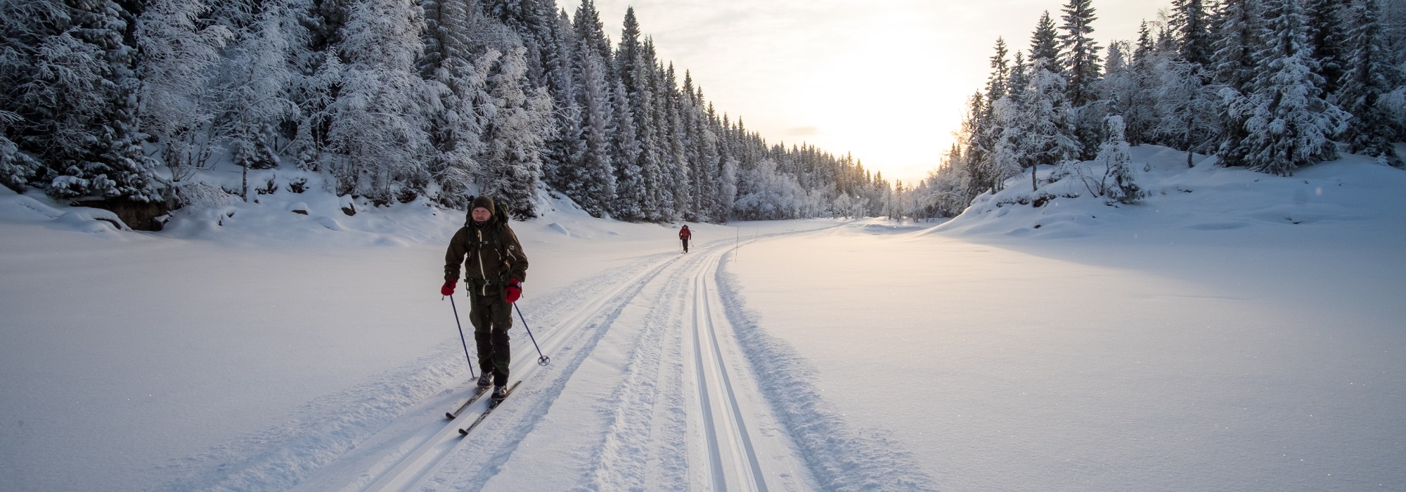 Østmarka på tvers (DNT ung Oslo, 18-30 år)