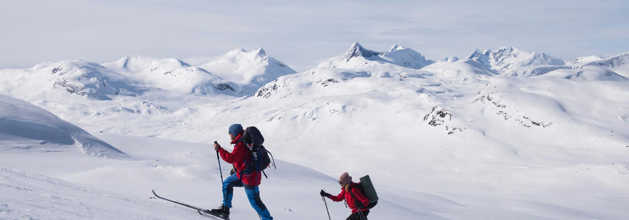 Fjellskitur over breer og topper i Jotunheimen (FJ26)
