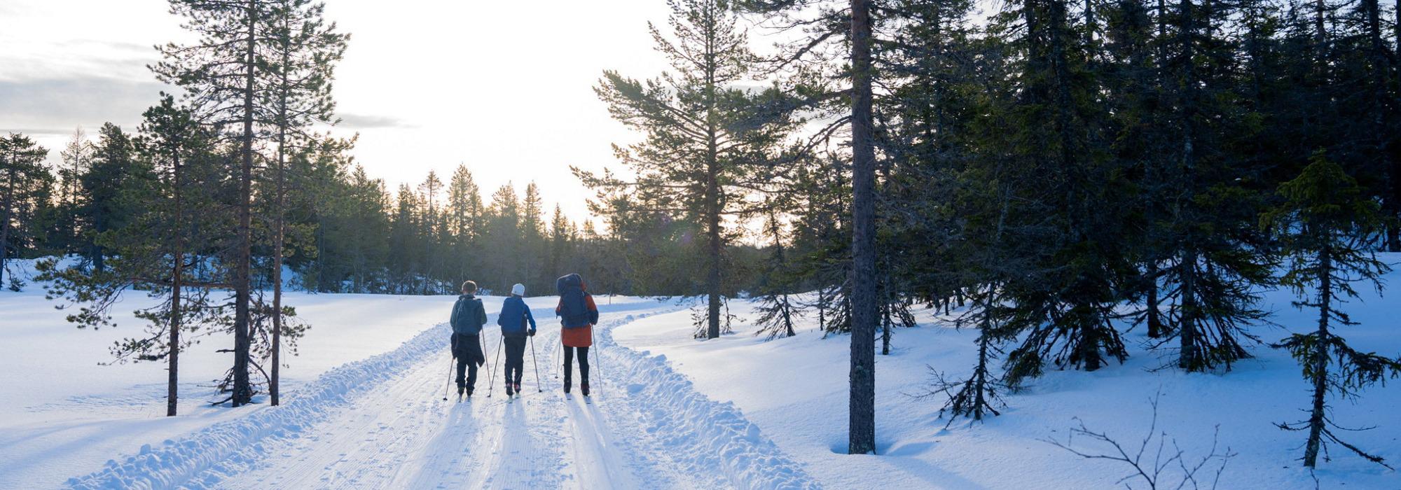 Tirsdagstur: Langrennstur i Vaksvika