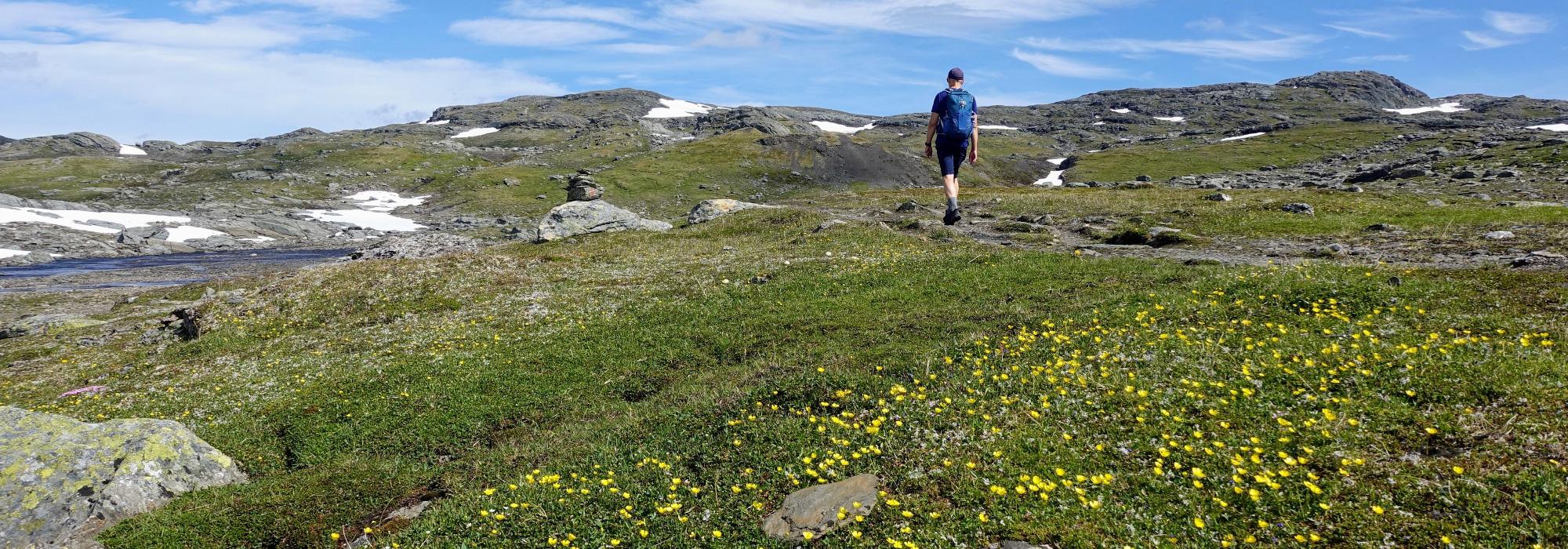 Gjennom Skarvheimen (vs26)