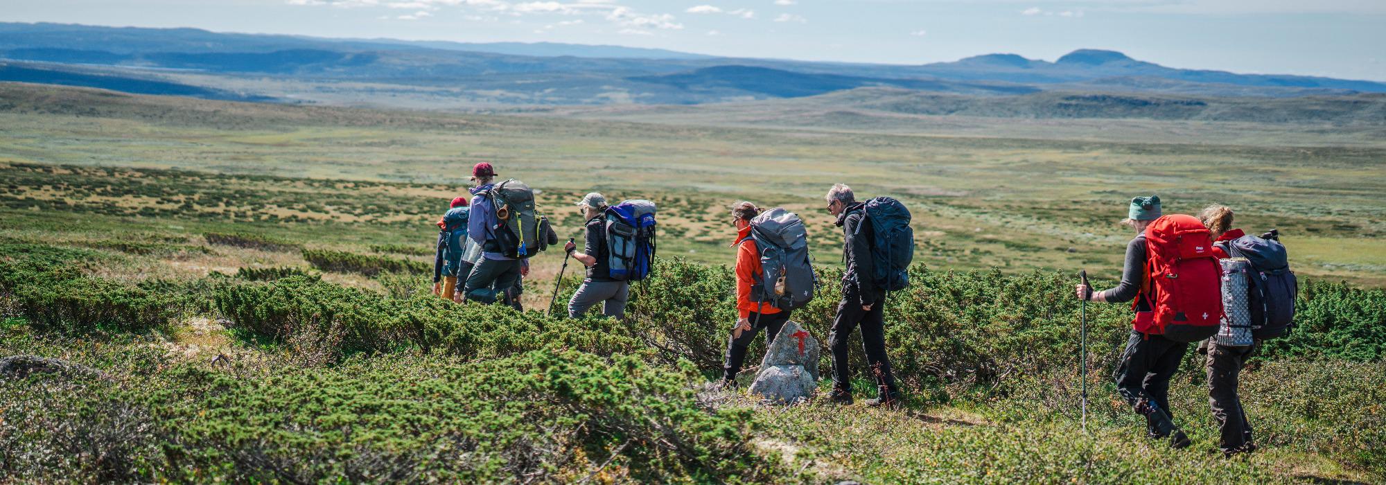 Fjelltur i Langsua - Jotunheimens forgård (vs26)