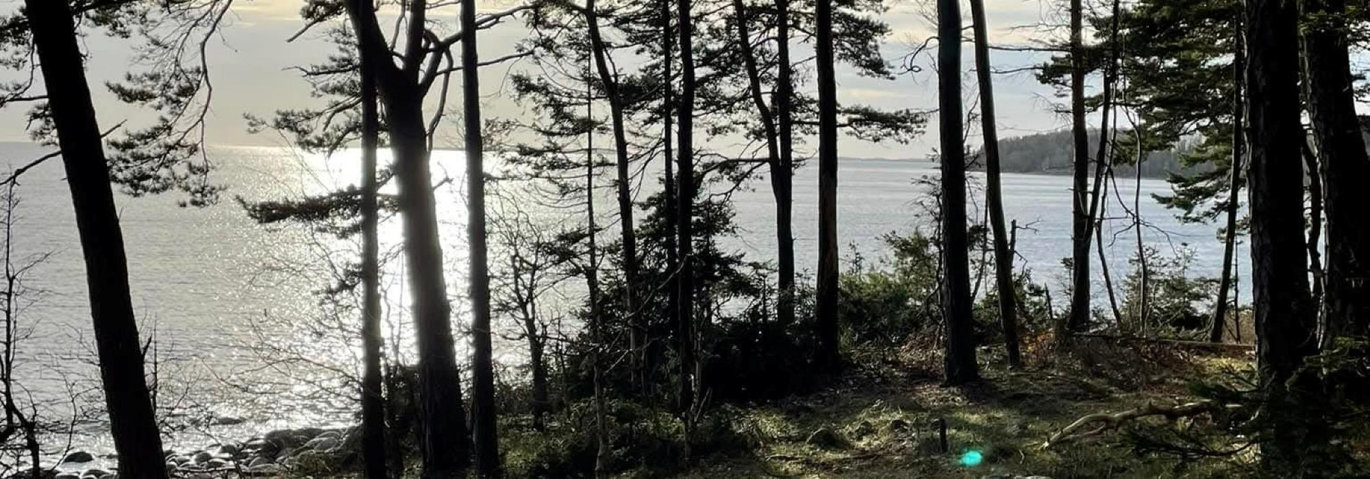 SENIOR: Onsdagstur med avslutning på Karlsvik Gård