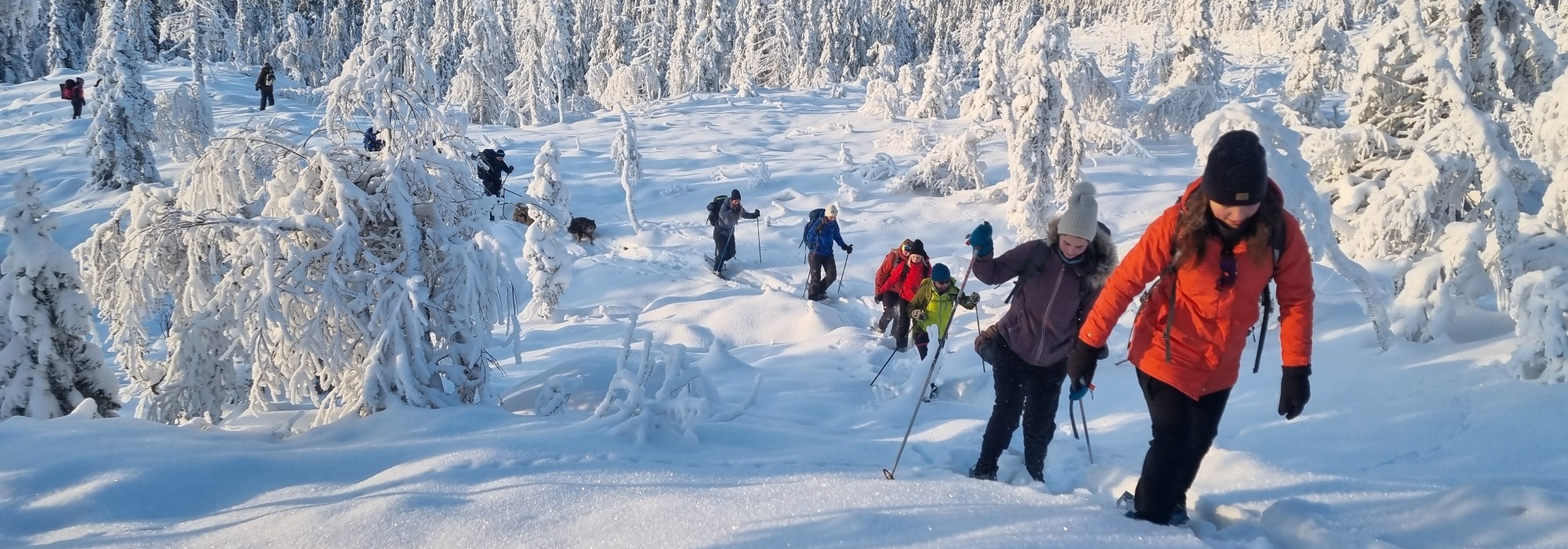 Trugetur på Hedmarksvidda for unge voksne