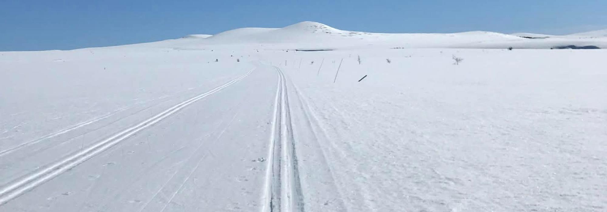 Trolløypa fra Venabygdsfjellet  til Lillehammer i februar.