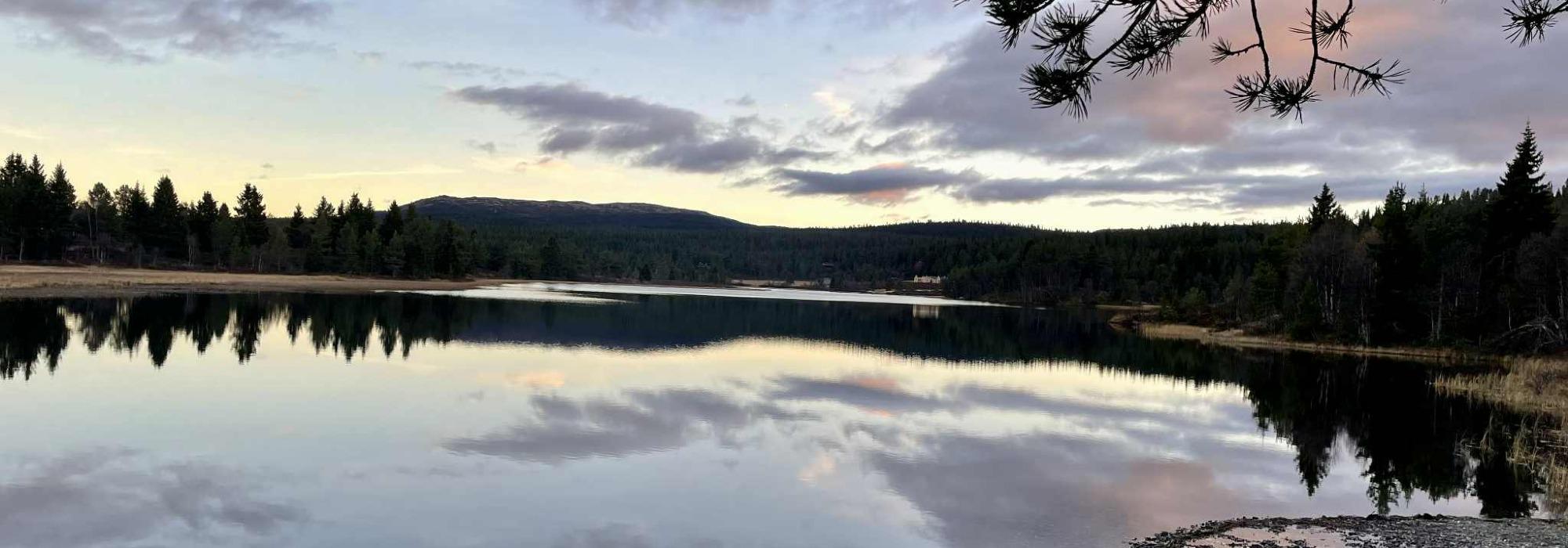 Vinterbading ved Vollsdammen