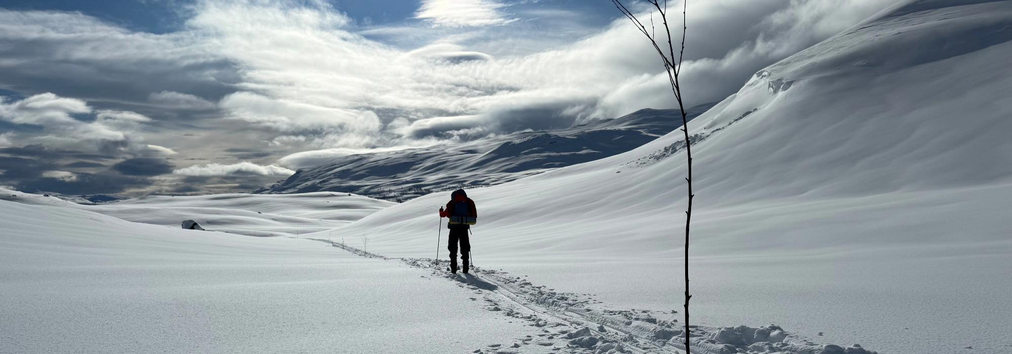 På fjellski fra Hunnedalen til Langavatn