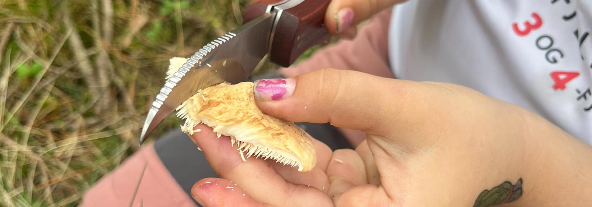 Sopptur med Barnas Turlag