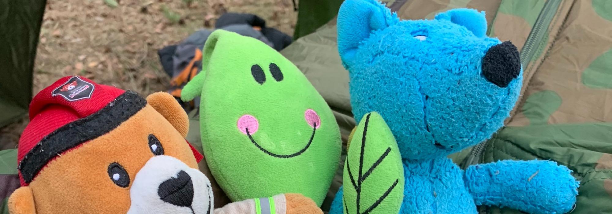 Bamsetur med Barnas Turlag