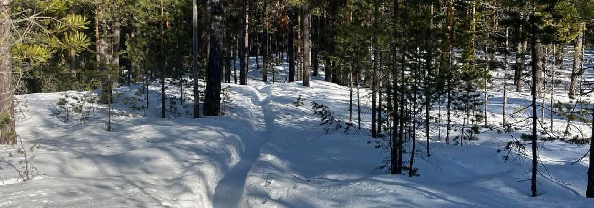 Labbetur på Gamlegrendåsen