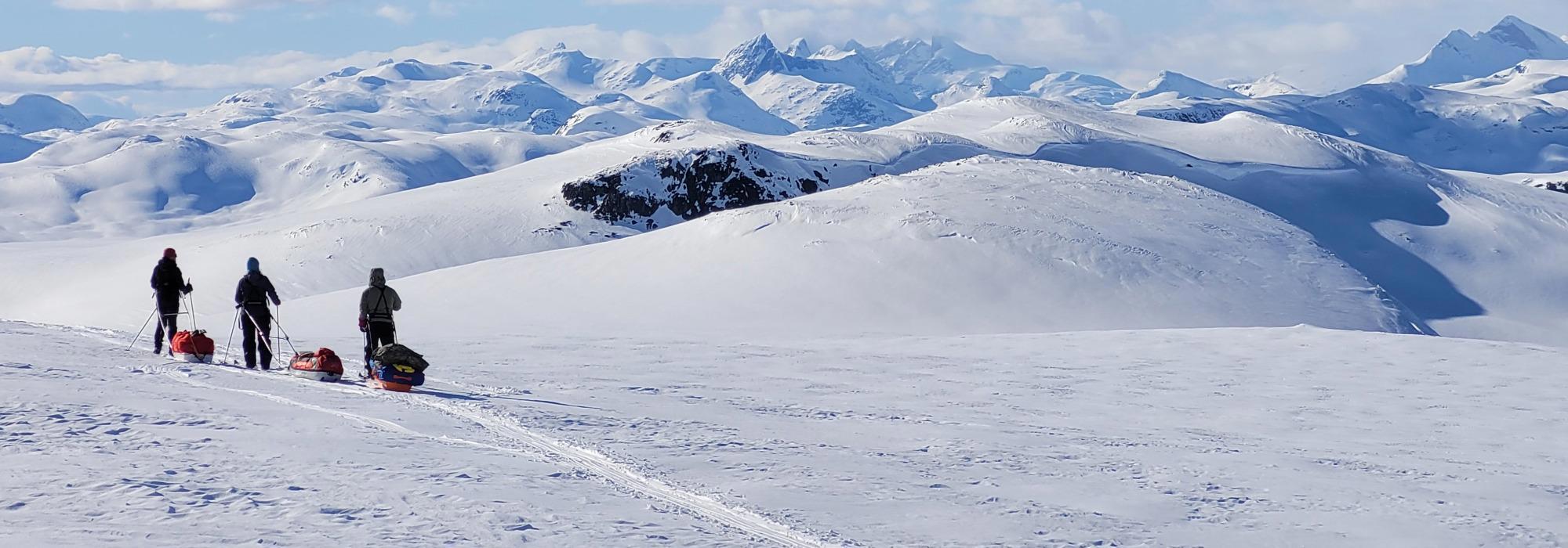 Med pulk og telt mellom Jotunheimens tinder med DNT fjellsport Bergen