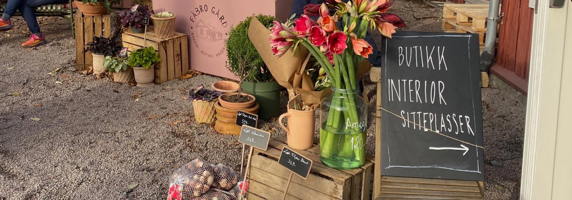 Kulinarisk tur fra vest til øst til vest (Vandregruppa DNT Oslo 26–45 år)