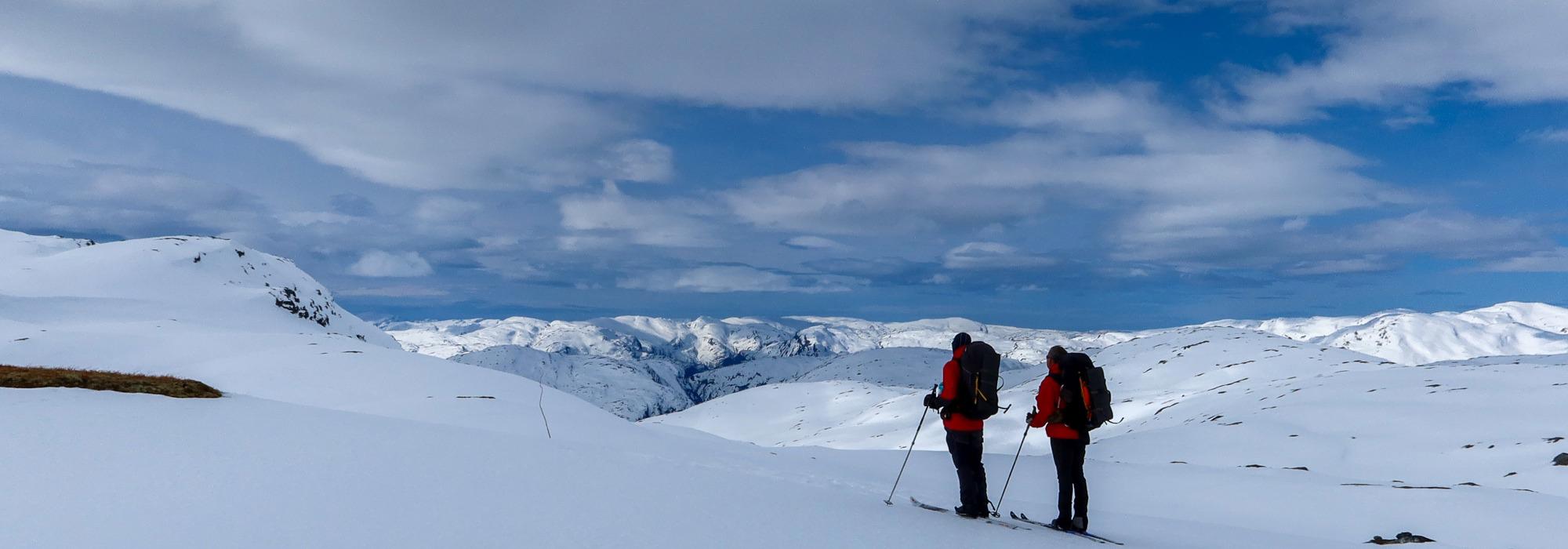 Stølsheimen frå fjell til fjord (Vandregruppa)