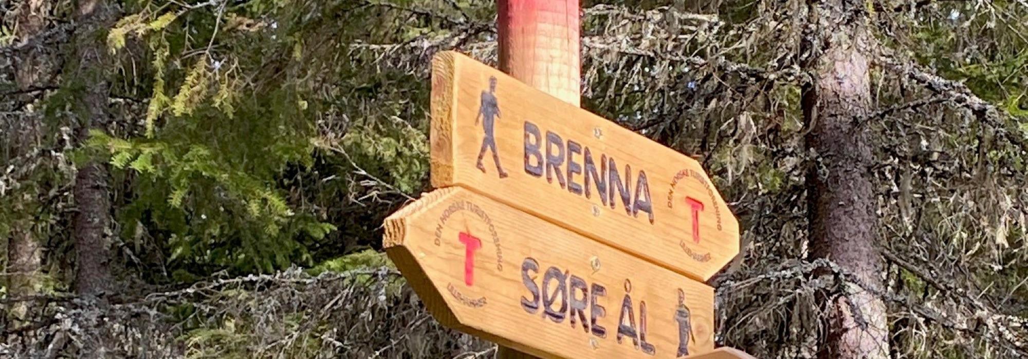 Kveldstur langs Bergsengelva i Søre Ål-marka