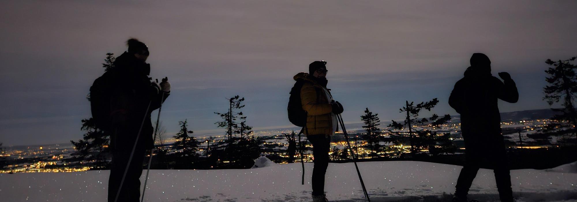 12 UTENETTER I 2025 (desember): Lauvhøgda.