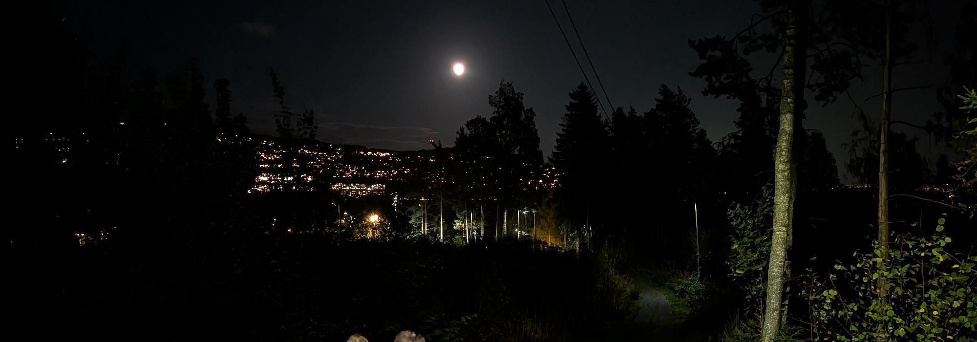 Kveldstur til Grimsåsen, i måneskinn?