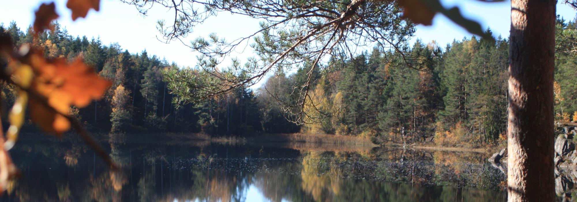 AAT - turtreff på dagtid.