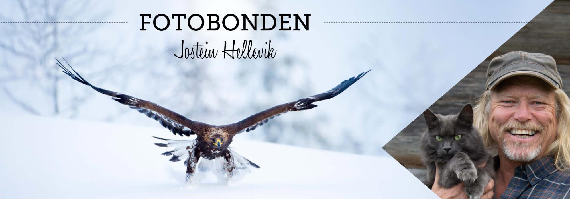 Fotobonden: "Ein berrføtt dans på tornebuskar og raude roser"