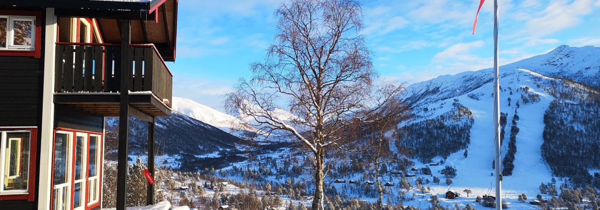 Hyttetur til Skorgedalsbu med DNT Unge Voksne