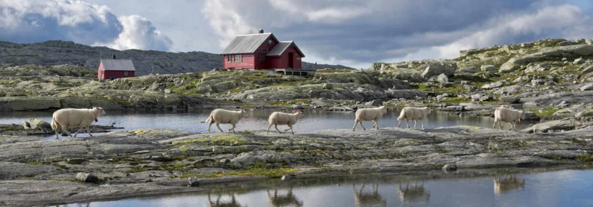 Ferskingtur i vakre Stølsheimen hvor vi byr på det enkle friluftsliv