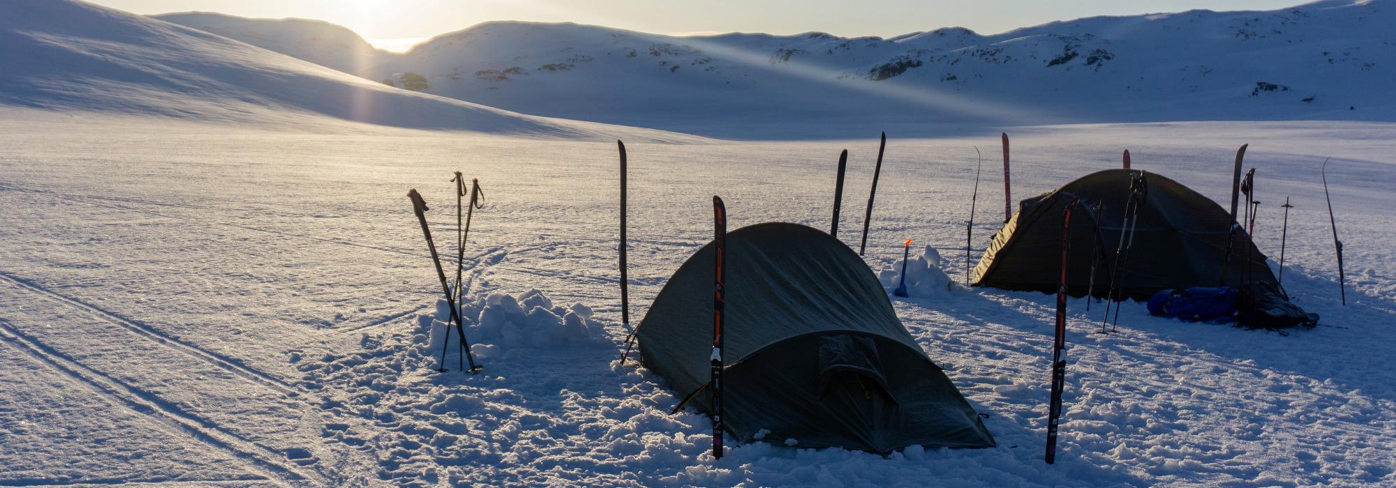 Vårskitur på Fresvikbreen med telt