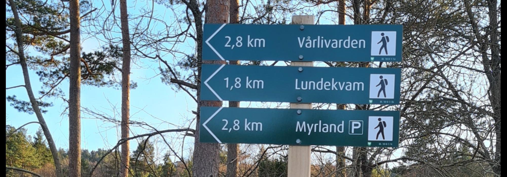 DNT tilrettelagt - Ung på tur: Fottur til Lundekvam