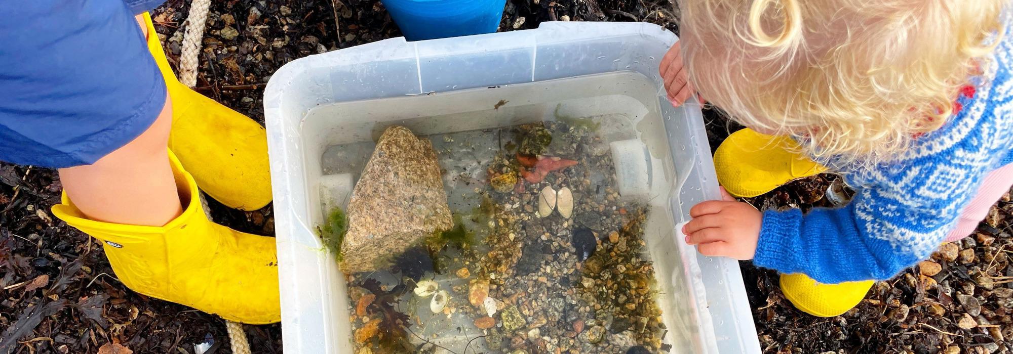 Turboklubben Hundvåg - Livet i fjæra