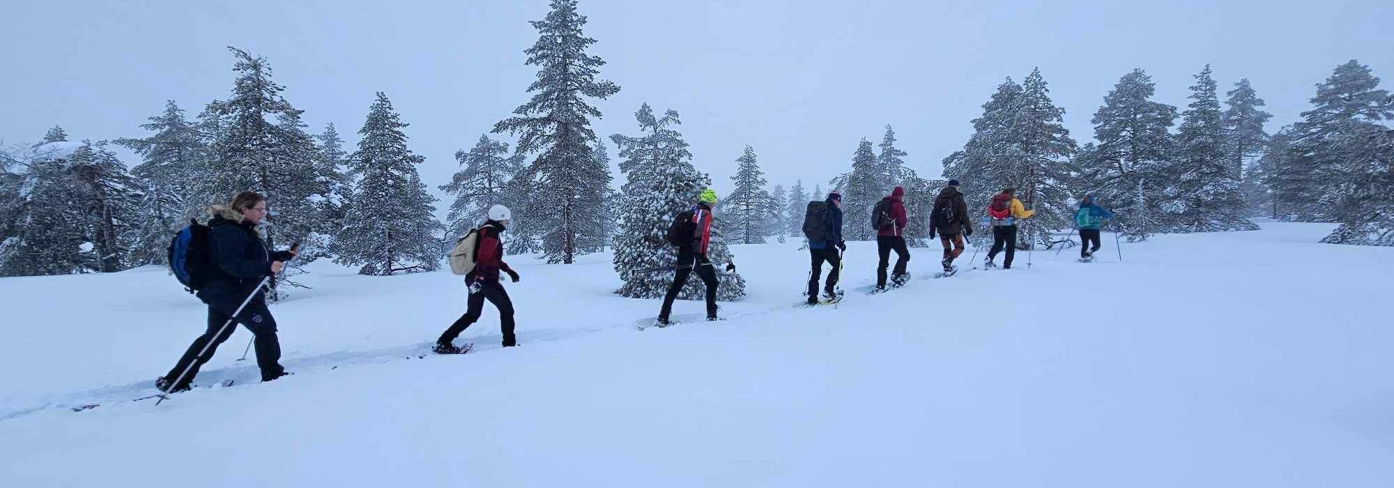Trugetur i Stange, Nykjudalen/Gjertrudskampen