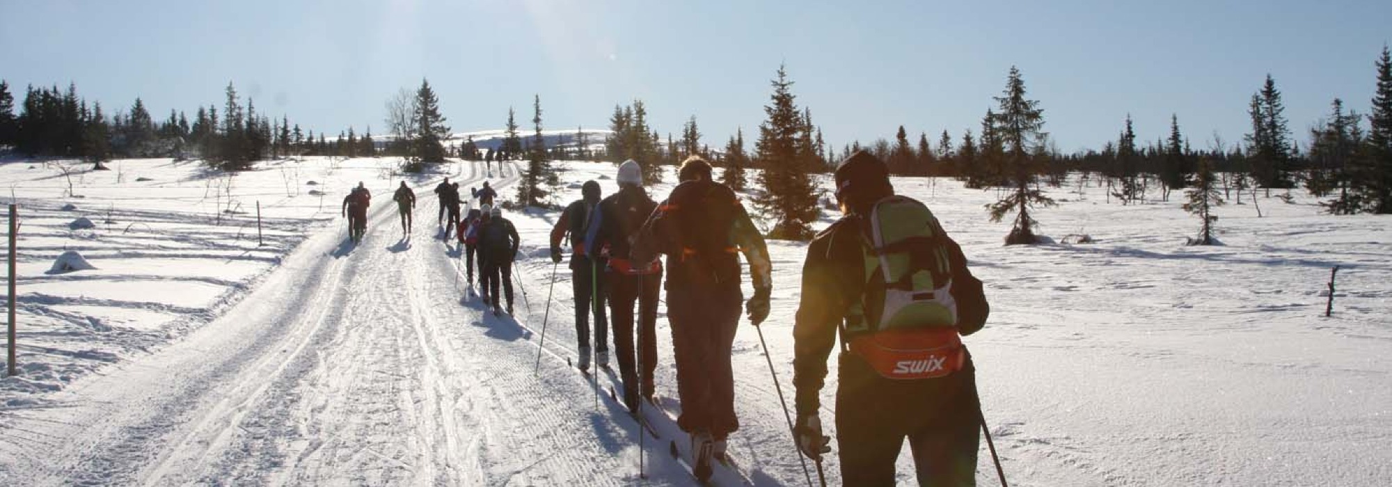 Sjusjøen-Gåsbu på ski