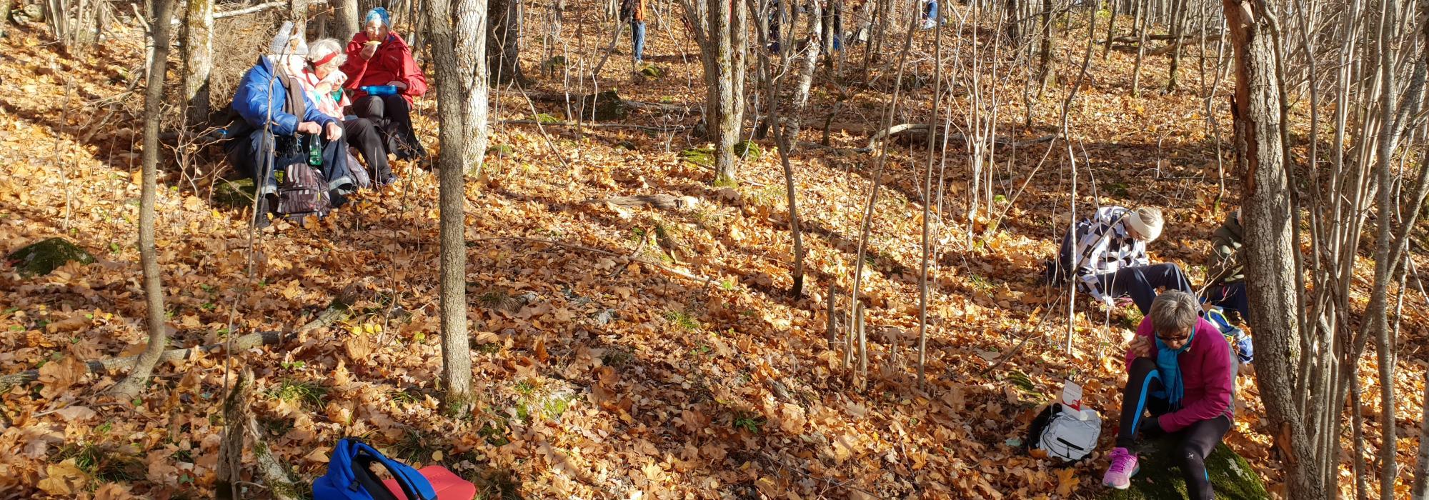 Nærtur fra Borgen - Aktiv i 100