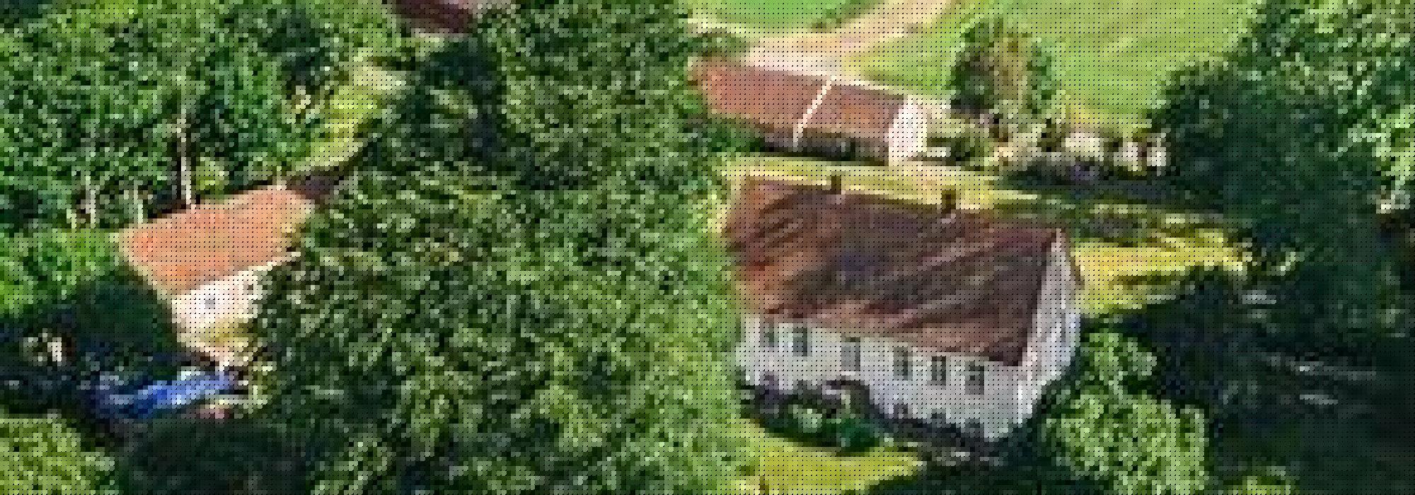 Seniortur - Halsnøy kloster