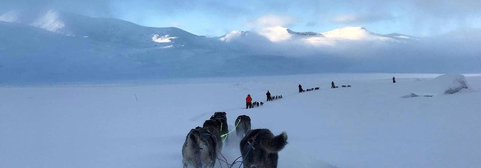 Topptur og husky på Gjendesheim