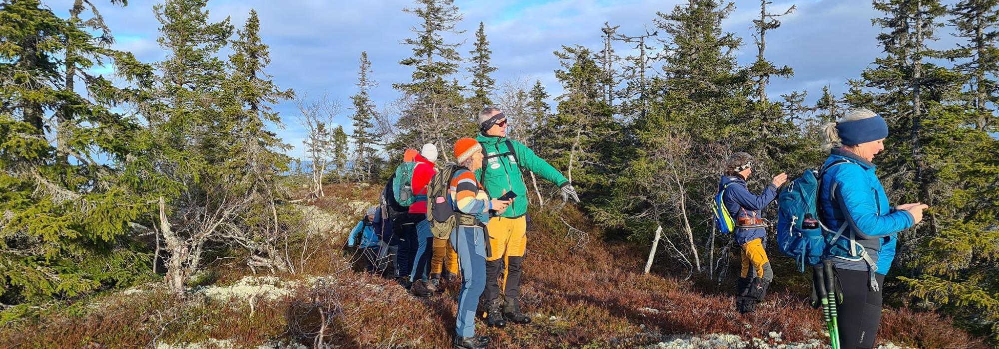 ÅSGRUPPE - MANDAGSTURER PÅ ØSTRE TOTEN: BORGENKAMPEN, BYGDEBORGEN
