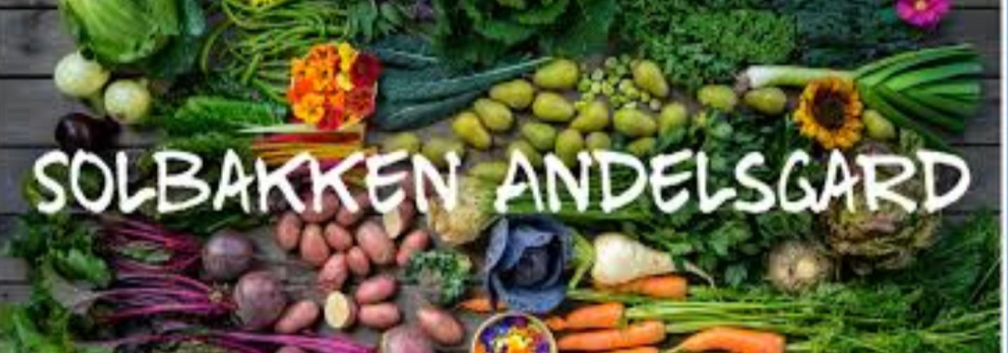 DNT tilrettelagt - Ung på tur: Raustein og lapskauskoking på stormkjøkken