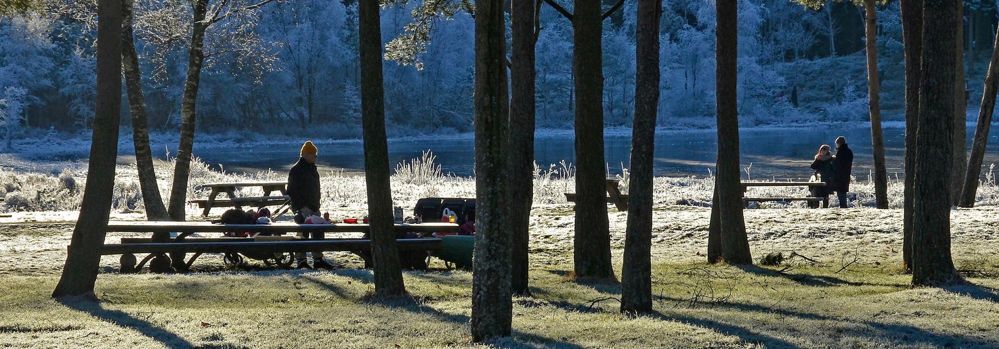 DNT tilrettelagt - FTU: Rogaland Arboret