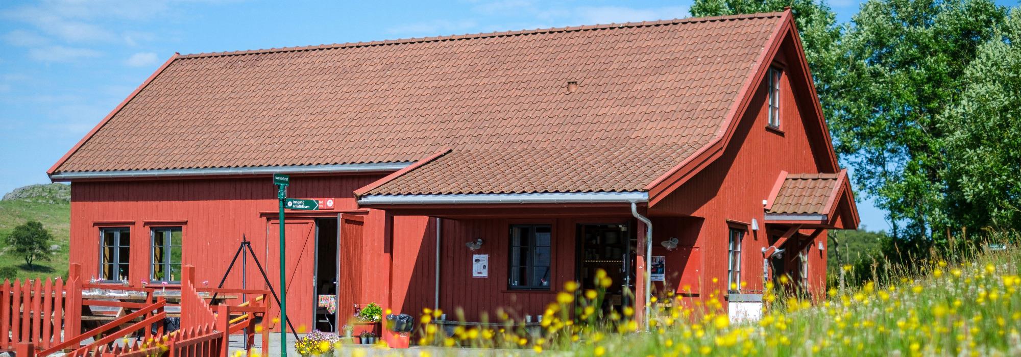 DNT tilrettelagt - FTU: Sommeravslutning på Gramstad