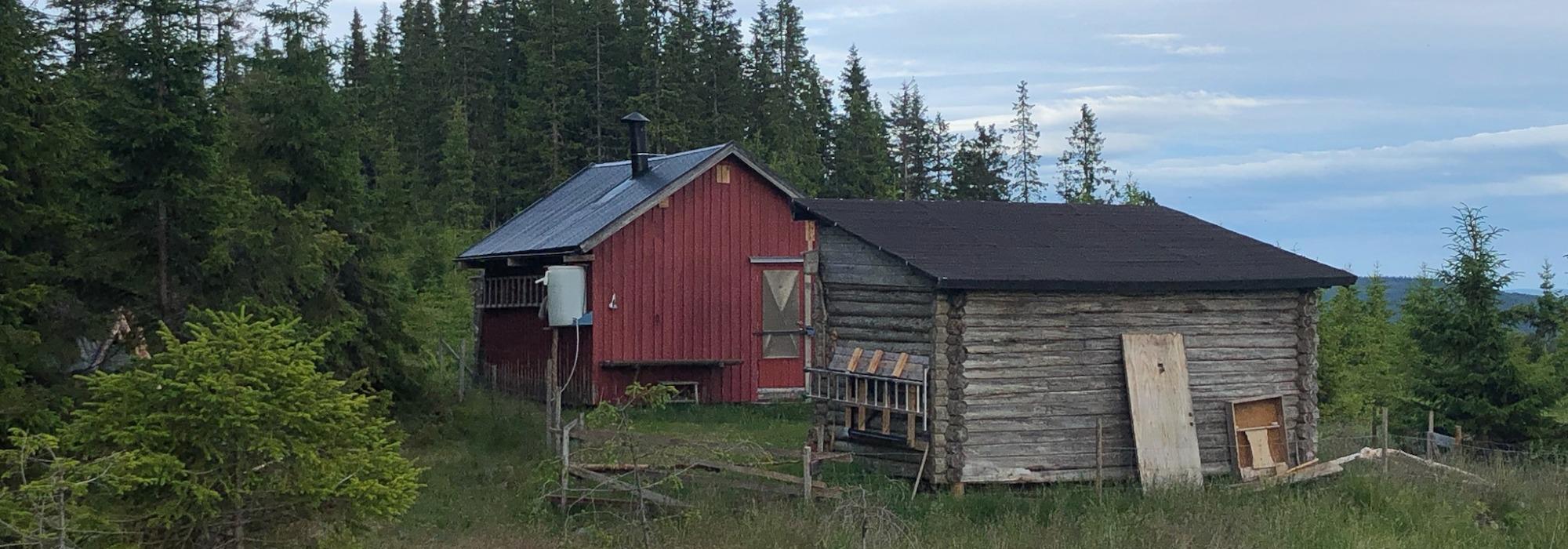 Kveldstur i randsonen av Gropmarka.