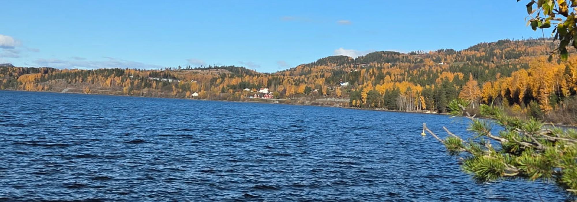 Kveldstur til Bekkodden på Brøttum