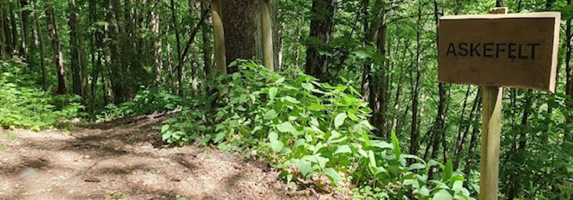 Kveldstur på kulturstien på Fåberg