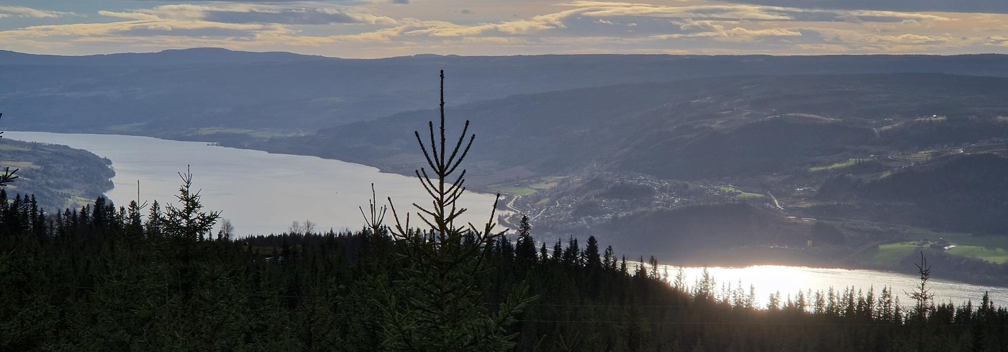 Kveldstur i Gropmarka