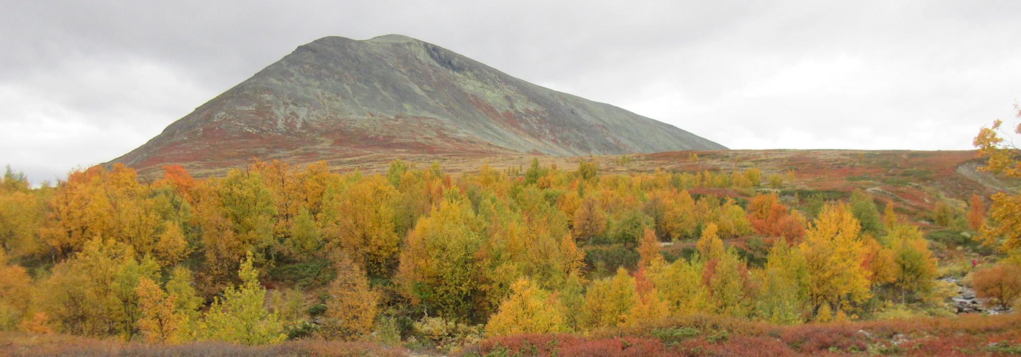 Heidalsmuen fra nord til sør - rundtur