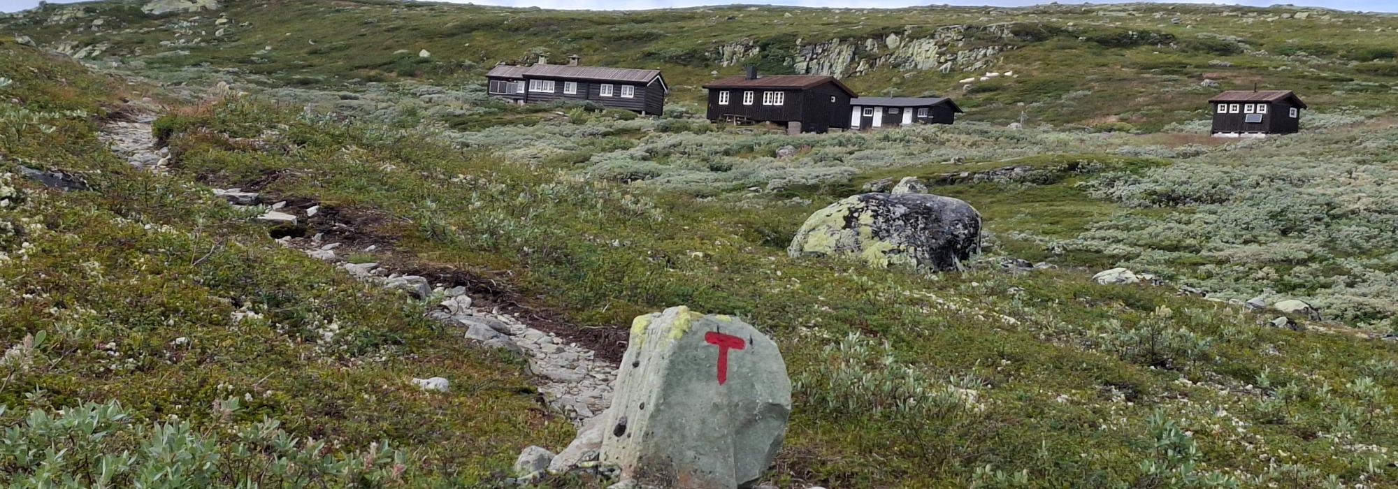 Rundtur i Langsua - hytte til hytte