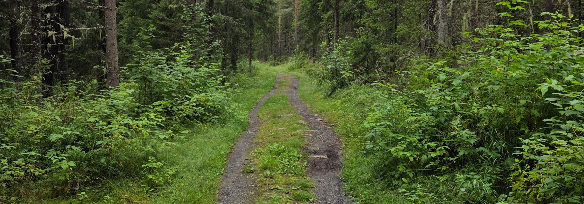 Kveldstur til Kanalen og Kanthaugen