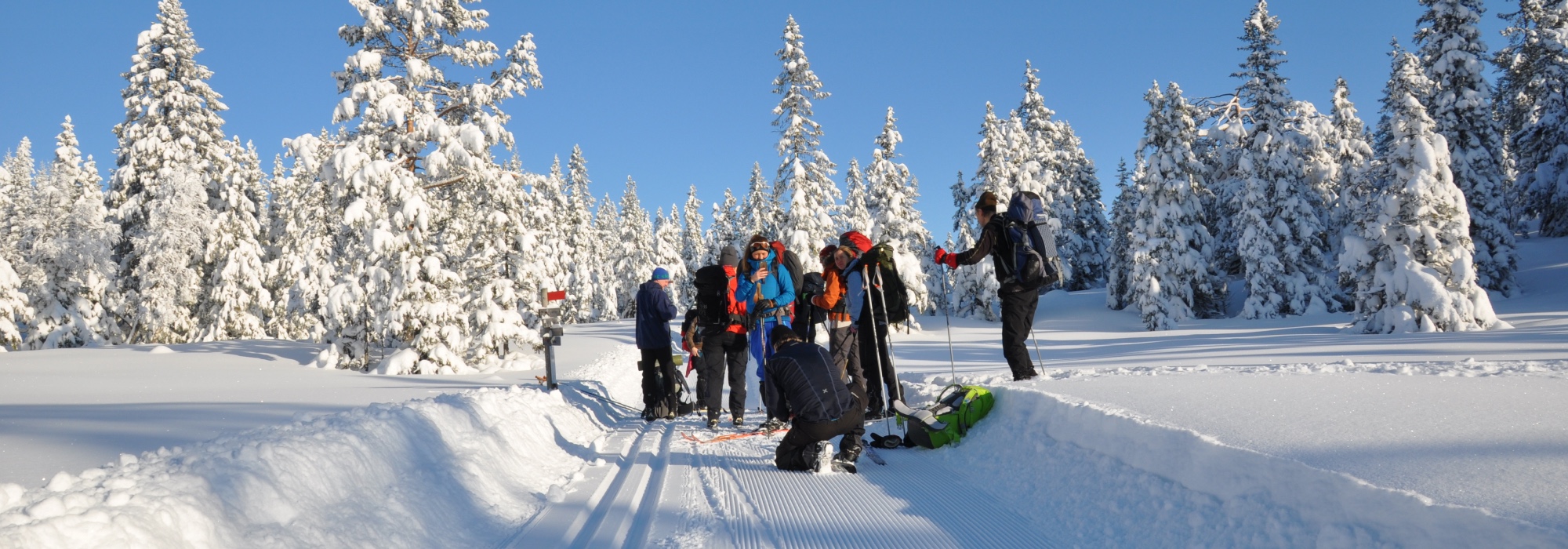 Skien Turlag Aktiv - Fellestur rundt Steinbruløypa