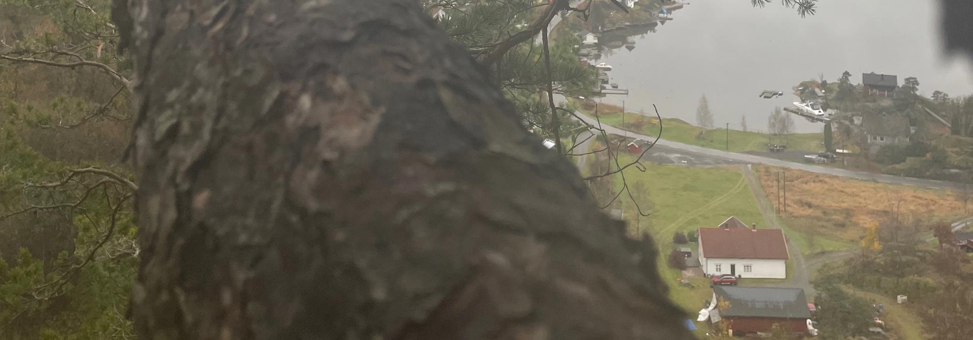 Skien Turlag Aktiv: Tur i Bergsbygda Skotåsen