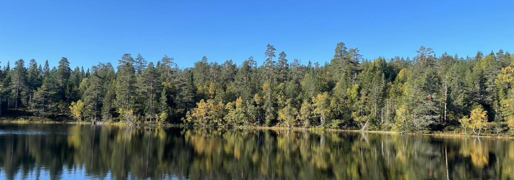 Telttur til Elsedam ved Sachsen